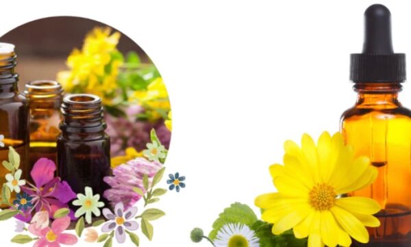 Aceites terapéuticos - Imagen 7