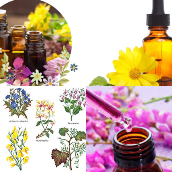 Aceites terapéuticos - Imagen 6